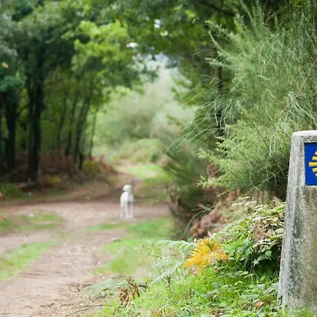 Campo de lujo Kampaoh *